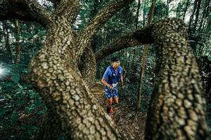 BIB: 
                            <button type="button" onclick="openModal(25392683)" class="btn btn-primary btn-sm float-right btn-popup" data-toggle="modal" data-target=".modal-high-quality">
                        <i class="fas fa-shopping-cart"></i> Add to Cart
                    </button>
                                            <button type="button" onclick="isThisMe(25392683, true)" class="btn btn-success btn-sm float-right btn-popup btn-isme hidden" data-toggle="tooltip" data-placement="bottom" title="นี่คือรูปของคุณใช่ไหม คลิกที่นี่เพื่อเอาเข้าอัลบั้ม">
                        <i class="fas fa-plus"></i> Add to album
                    </button>
                    <button type="button" onclick="isThisMe(25392683, false)" class="btn btn-warning btn-sm float-right btn-popup btn-isnotme hidden">
                        <i class="fas fa-ban"></i> Remove from album
                    </button>